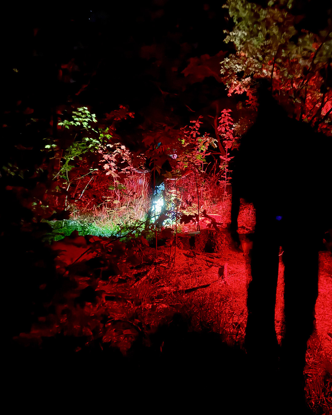 promenade nocturne 1